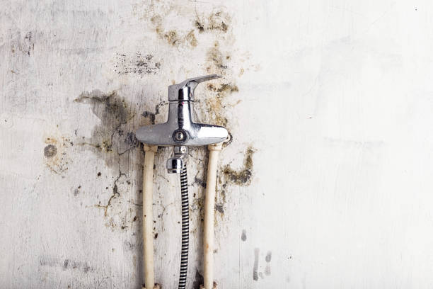  Rush Springs, OK Mold Removal Pros