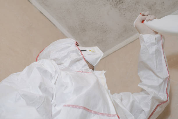 Best DIY Mold Remediation Support Services in Rush Springs, OK
