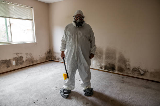 Best Industrial Mold Remediation in Rush Springs, OK